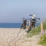 5- Sterne Duenenrast Mit Blick Ueber Den Saaler Bodden * Wustrow (Fischland)